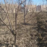 خدمات کشاورزی