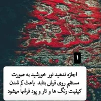 قالیشویی و مبلشویی تخصصی با دستگاه مدرن یزد