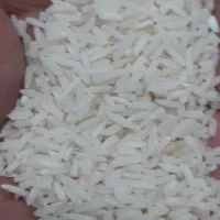 برنج هاشمی