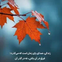 سیم کارت اعتباری همراه اول شماره بسیار رُند