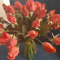 گل رز  قرمز. کاملا طبیعی.   ۵۵ شاخه خارجی