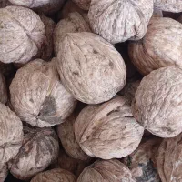 فروش خشکبار وحبوبات|خوردنی و آشامیدنی|صدرا-فارس, فاز ۱|دیوار