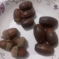 بلوط درشت وخاص پسند|خوردنی و آشامیدنی|خوی, |دیوار