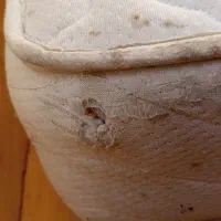تشک تخت|تشک تختخواب|مشهد, کوشش|دیوار