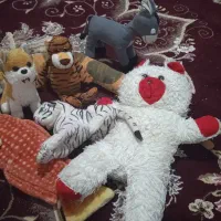 عروسک های زیبا