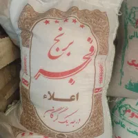 طارم طارم هاشمی دوباره کشت استخوانی فجر