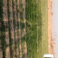 زمین-کشاورزی
