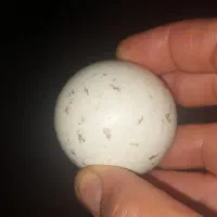 سنگ آسیاب|کلکسیون اشیاء عتیقه|سنندج, |دیوار