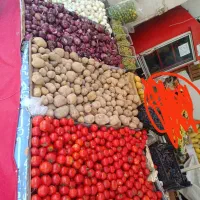 فروش بساط میوه فروشی|فروشگاه و مغازه|شیراز, فاضل|دیوار