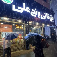 بازرگانی برنج علی