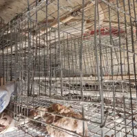 قفس مرغ تخمگذار منبری|لوازم جانبی حیوانات|تفت, |دیوار