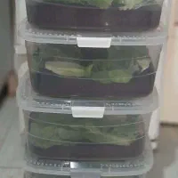 کسب کاردرمنزل حلزون شغل خانگی کار در منزل