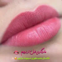 آرایش دائم فیبروز ابرو شیدینگ لب خط چشم بن مژه|خدمات آرایشگری و زیبایی|شیراز, رازی|دیوار