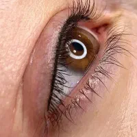 آموزش آرایش دائم