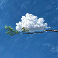 نگارش پایان‌نامه ،پروپوزال و انواع تحقیق و ...