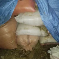 کاه و پخل درجه یک