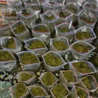 سبزی خورشتی آبپز شده رامهرمز|خوردنی و آشامیدنی|لنجان, |دیوار