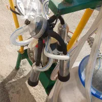 شیردوش تک واحد برقی گاو