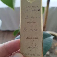 یک عدد فیکوس و یک عدد یوکا همراه با گلدان|گل و گیاه طبیعی|اصفهان, خانه اصفهان|دیوار