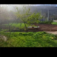 فروش زمین و ویلا ۱۴۶۱متر|فروش خانه و ویلا|لیسار, |دیوار