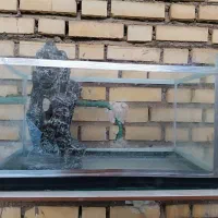 یک عدد شیشه آکواریوم سایز 50*35 ارتفاع 30