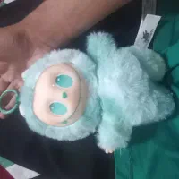لبوبو اصل|اسباب‌‌بازی|شیراز, دست خضر|دیوار
