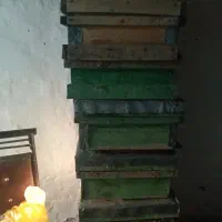 قوطی‌زنبورعسل