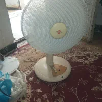 پنکه زمینی کاملاسالم وسرحال