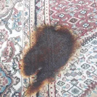 تعمیرات تخصصی فرش خانم مرادی لبه وریشه بادستگاه|خدمات پیشه و مهارت|کوهدشت, |دیوار