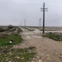 ۱۰۰۰ متر مربع
