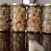 بلنچ اسلایس درجه دو  (قارچ دکمه ای)