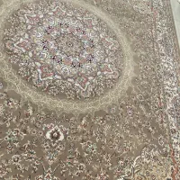 فرش ماشینی|فرش|زنجان, |دیوار