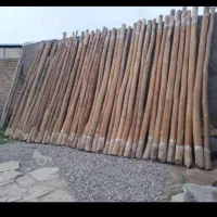 خریدو فروش ‌چوب وهرس چوب ارئه ‌ دهنده‌ چوب