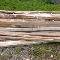 تخریب و خرید چوب|خدمات باغبانی و درختکاری|گوراب زرمیخ, |دیوار