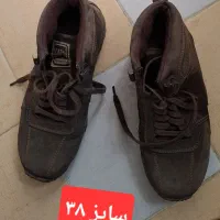 کفش مردانه|کیف، کفش، کمربند|شیراز, ارم|دیوار