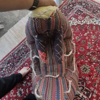 پالن اسب  زین اسب|اسب و تجهیزات اسبسواری|سیاهکل, |دیوار