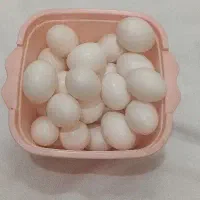 تخم کبوتر تازه تعداد ۶۰عدد موجود است ۰
