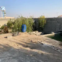 زمین-277متر-فوق-کاسبی-سهیلیه-زعفرانیه