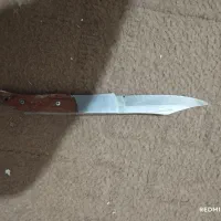 تمامی اجناس سالم میباشد