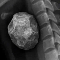 دنبال کار دست هنر