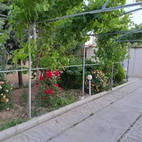 باغچه‌ی ویلا دار ۹۲۰ بکه شهریار|فروش زمین و ملک کلنگی|تهران, وحیدیه|دیوار