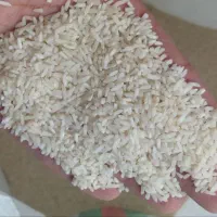 سر لاشه هاشمی درشت سورتینگ شده
