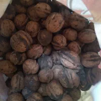 گردو مال  امسال در جه یک تخفیف دارد