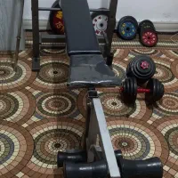 دمبل هالتر و میز پرس سینه چند کاره