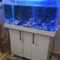 آکواریوم بزرگ|ماهی|اردبیل, |دیوار