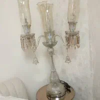 یک عدد اباژور سالم بدون کوچکترین لب پریدگی