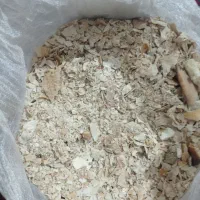 فروش ۲عددگونی نان خشک