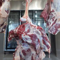 گوشت گوساله نر به صورت کشتار روزانه