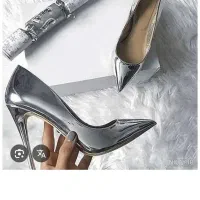 کیف و کفش مجلسی سیلور