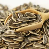 فروشنده ساده